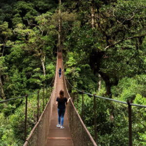 Boquete - Tour de puentes colgantes